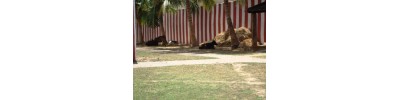 இரட்டைத் திருப்பதி (அரவிந்த லோசனர்)